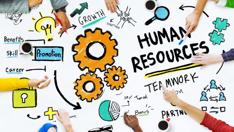 Why You Should Consider A Human Resources Degree Nation